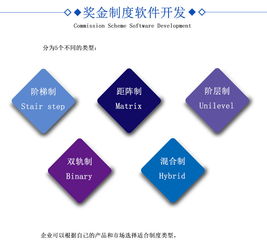 【直销软件开发】-